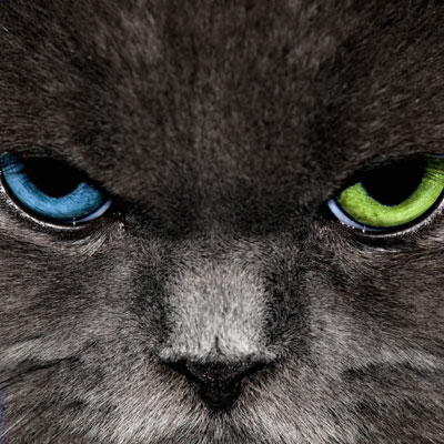 cat eye retouching